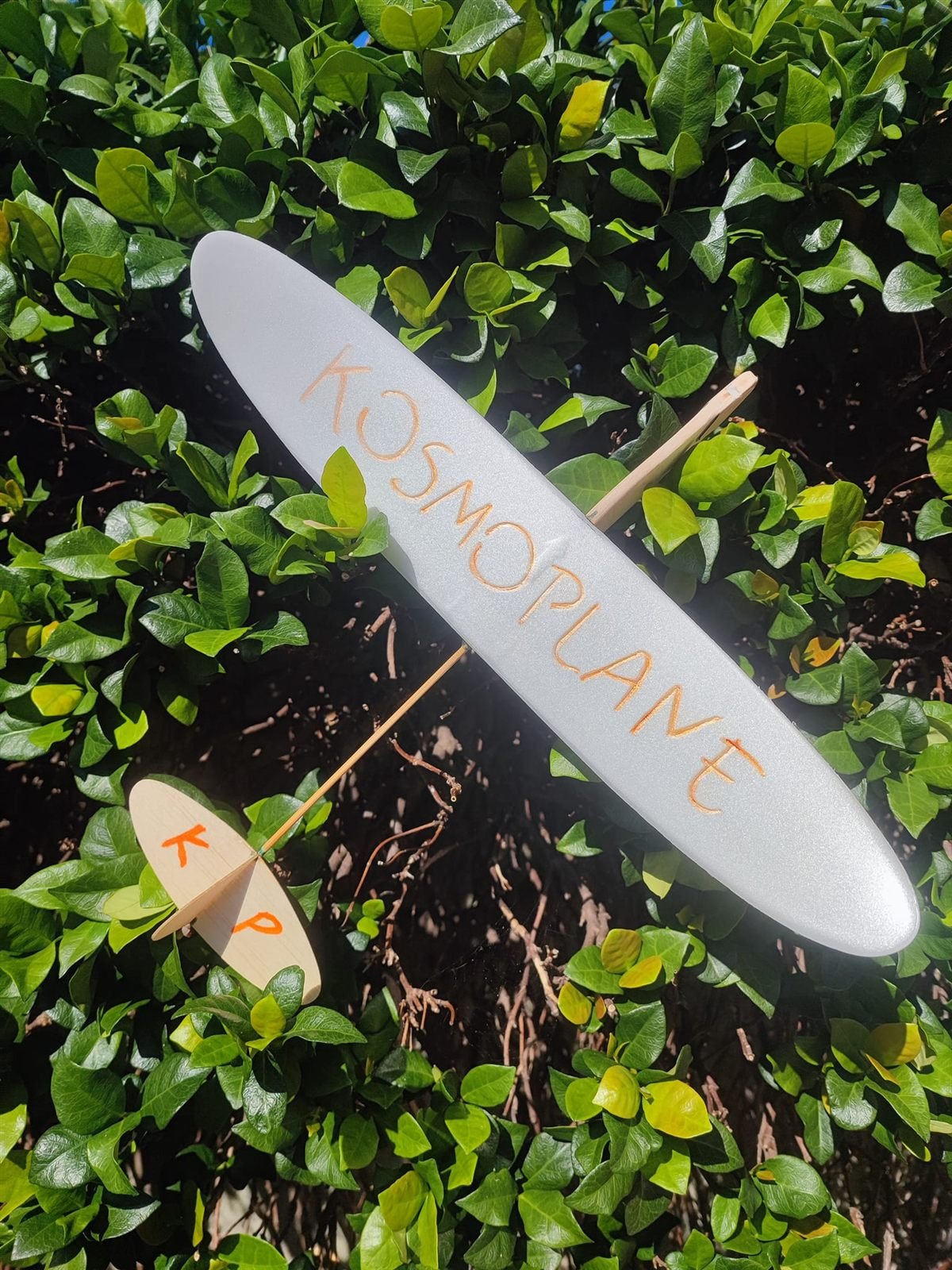 Un Balsetta con la scritta KosmoPlane sull'ala
